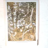Listing Photo Thumb #7