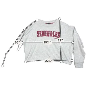 Photo of Wrangler FSU Seminoles Bandana Letter Cropped Sweatshirt — XL