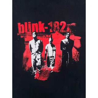 Photo of Vintage Blink-182 T Shirt Men's Medium Black Red Band Photo M&O Knits Y2K
