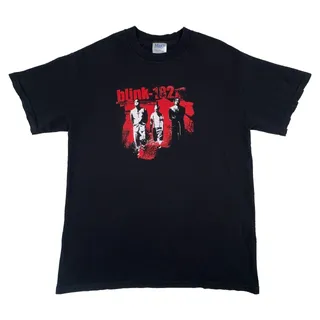 Photo of Vintage Blink-182 T Shirt Men's Medium Black Red Band Photo M&O Knits Y2K
